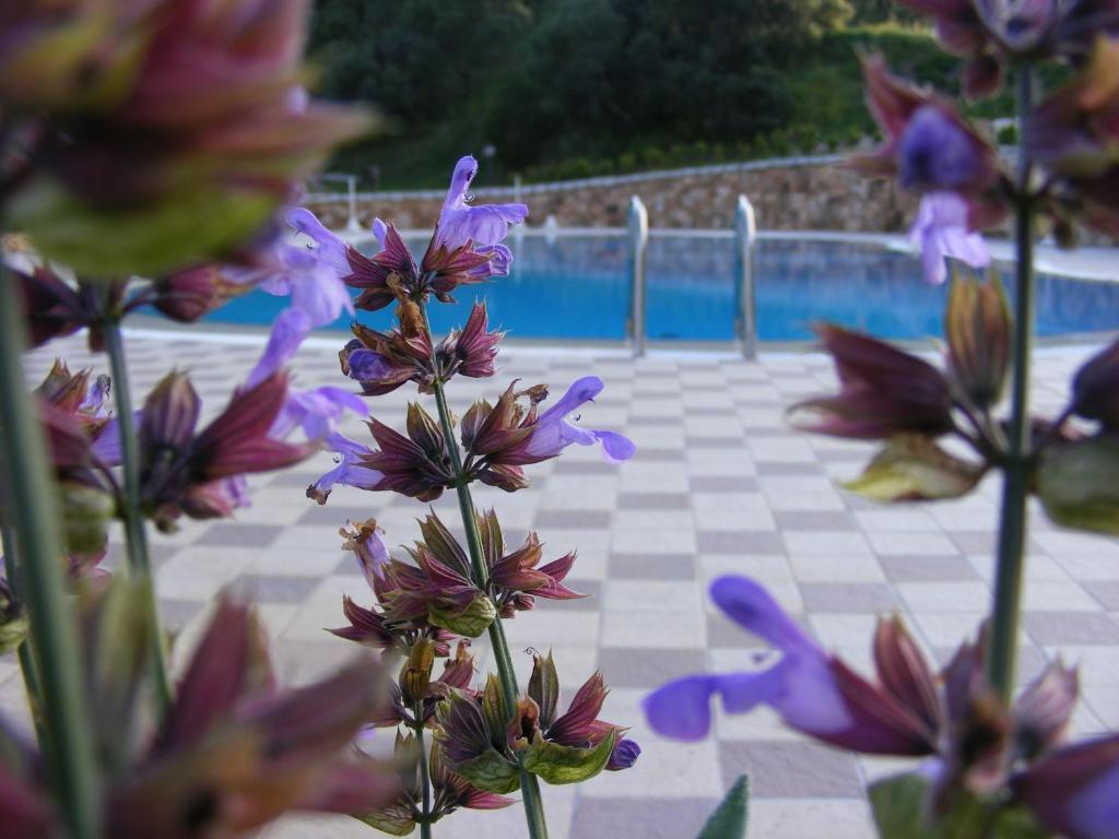Tenuta Su Vrau Posada  Ngoại thất bức ảnh